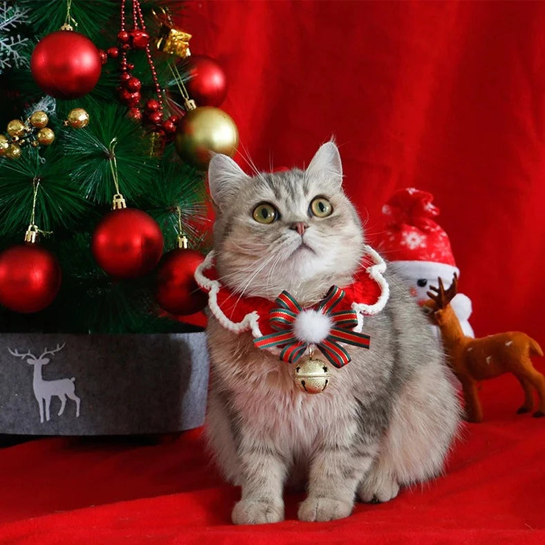 Cat wearing the red crocheted wreath collar by the Christmas tree