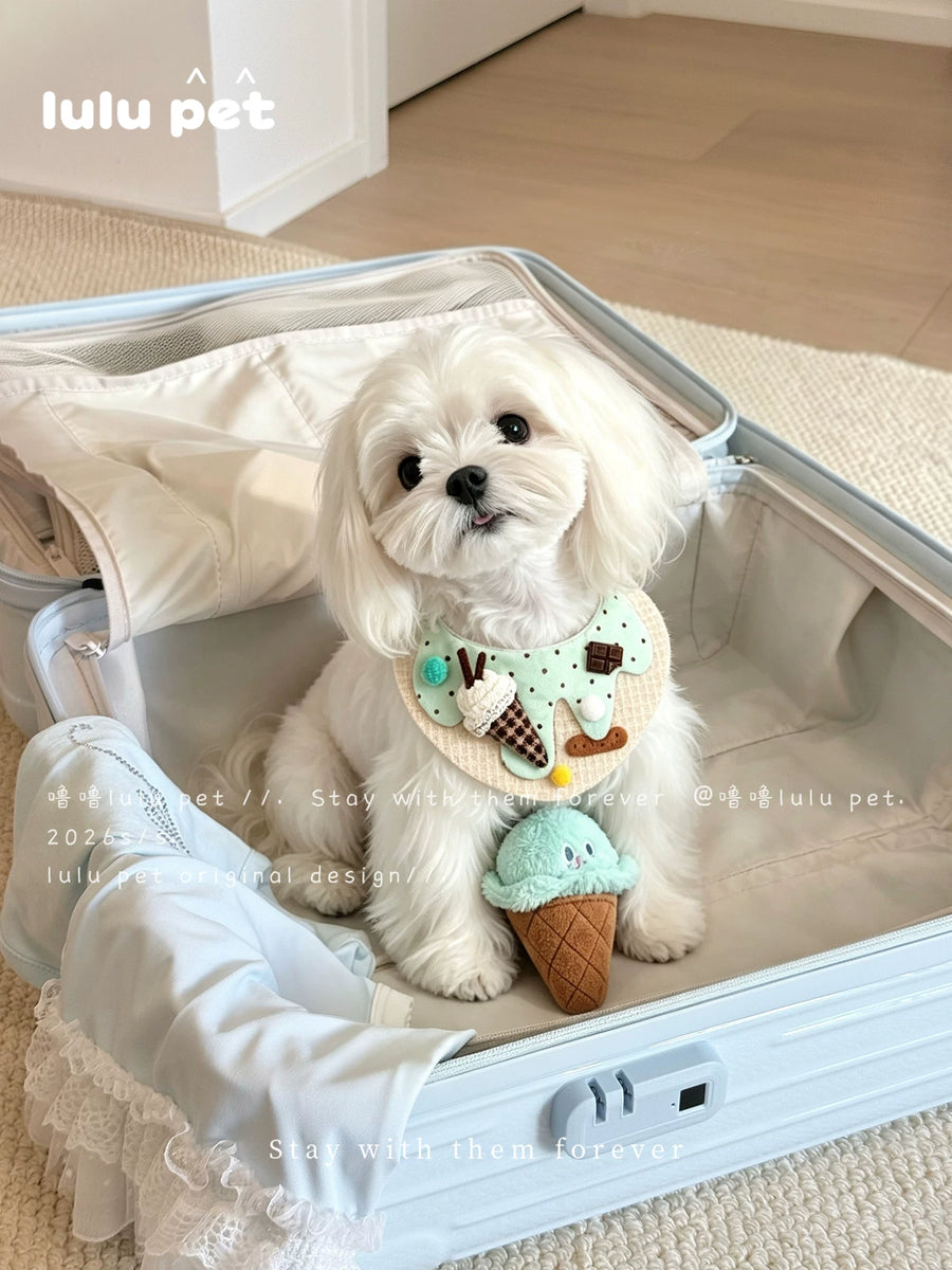 Maltese wearing the Mint Ice Cream bib