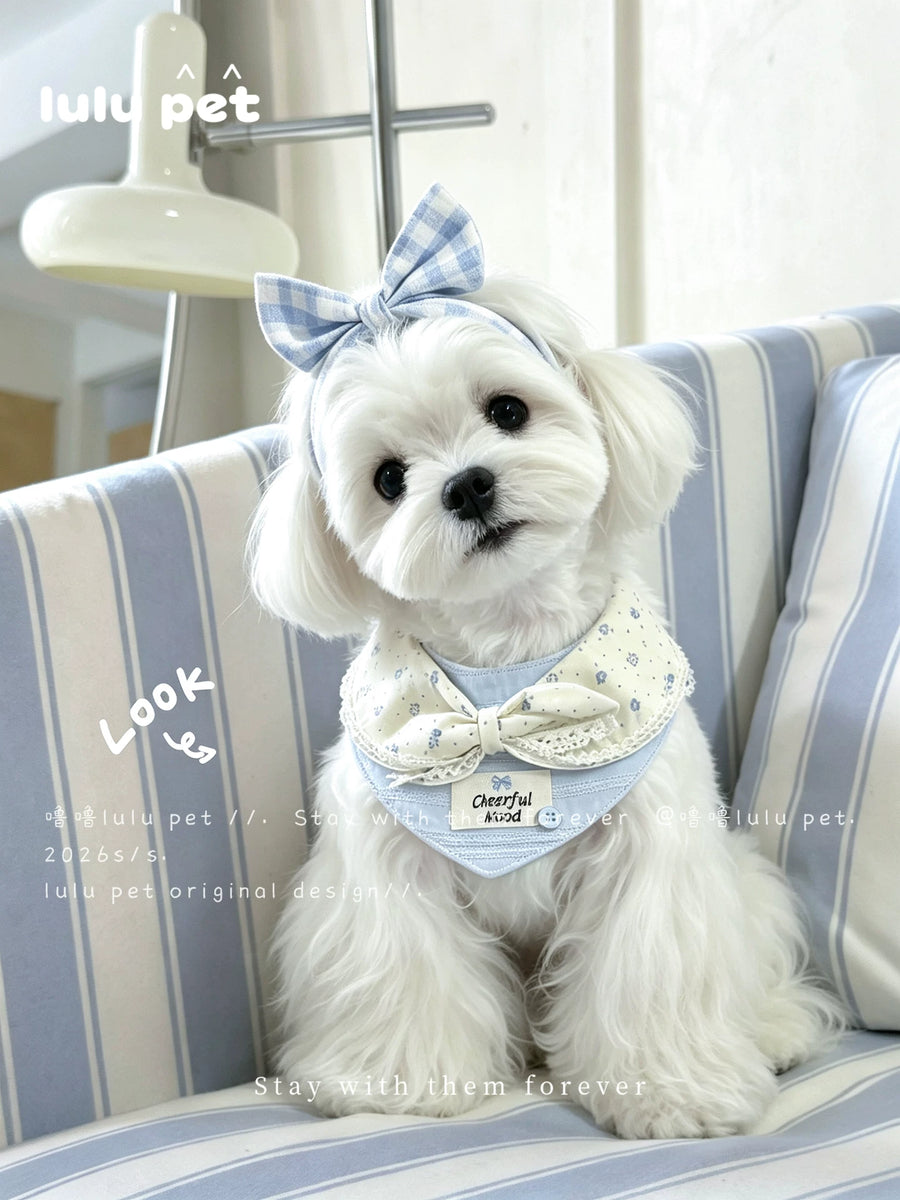 Maltese wearing the Cloud Bow bandana