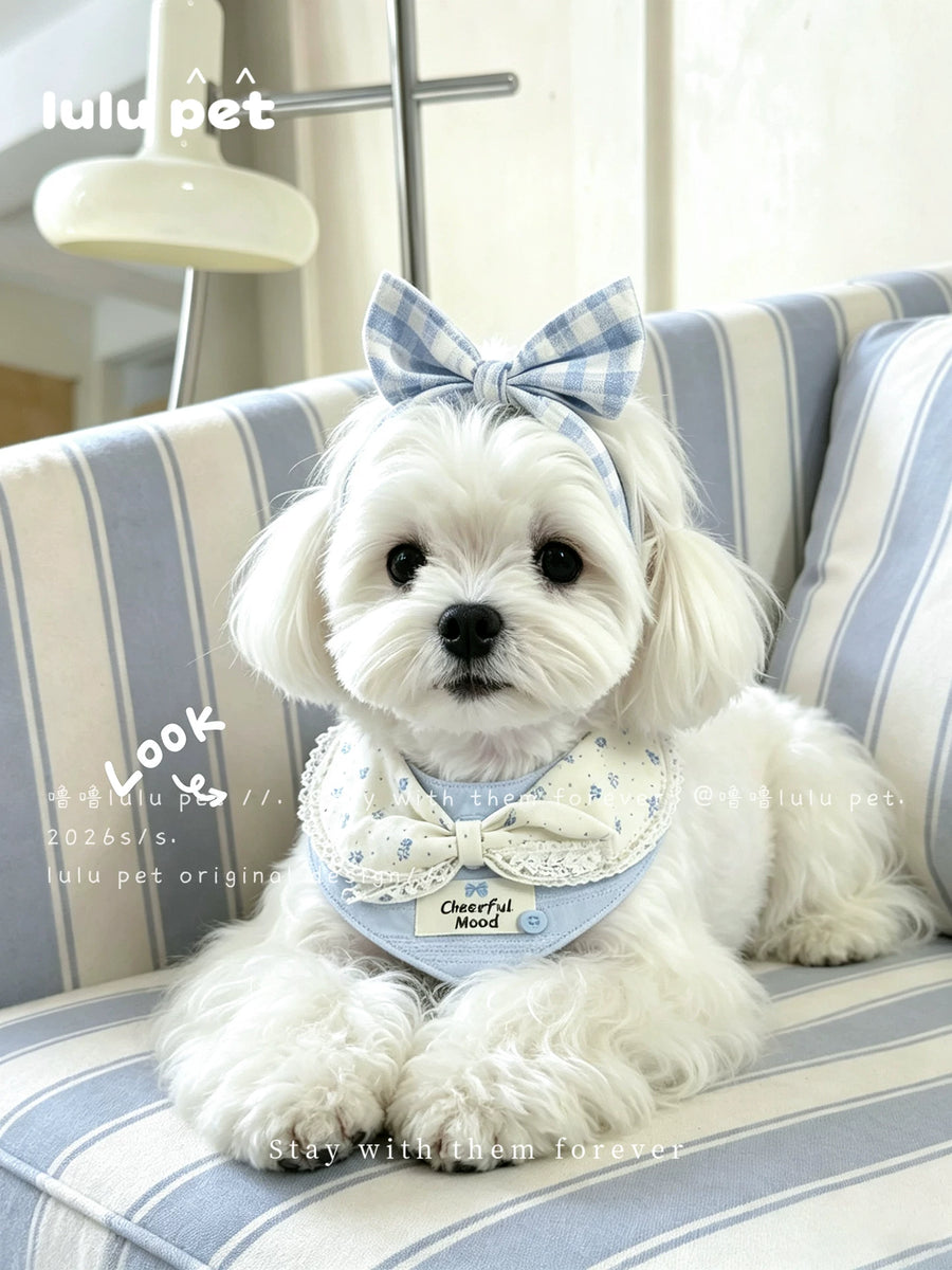 Maltese wearing the Cloud Bow bandana