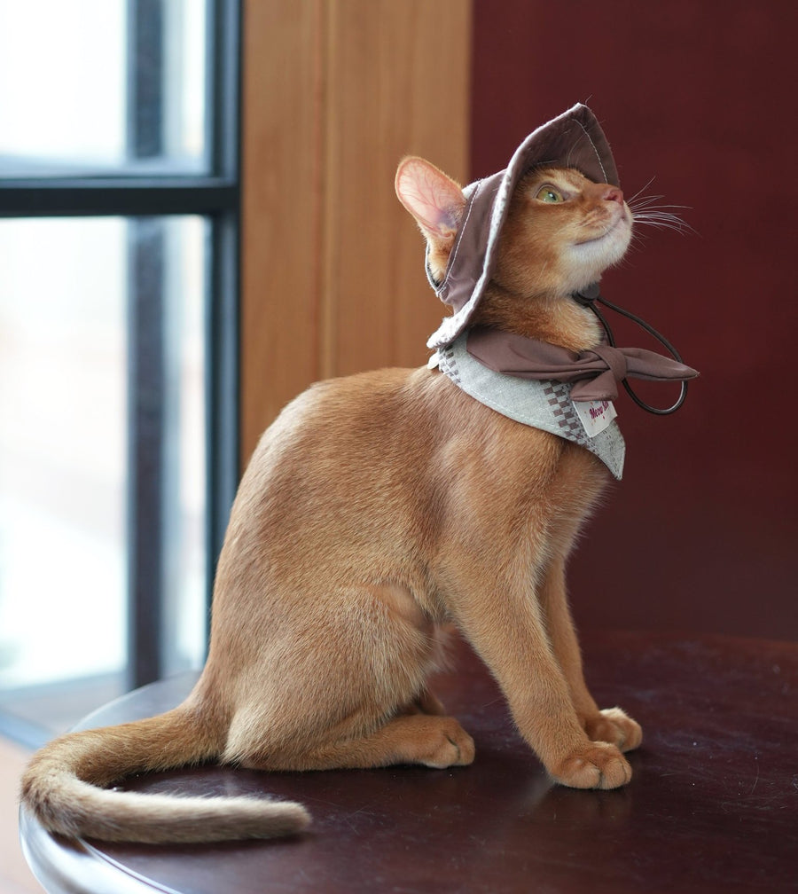 Autumn Woods Pet Bandana & Collar Set