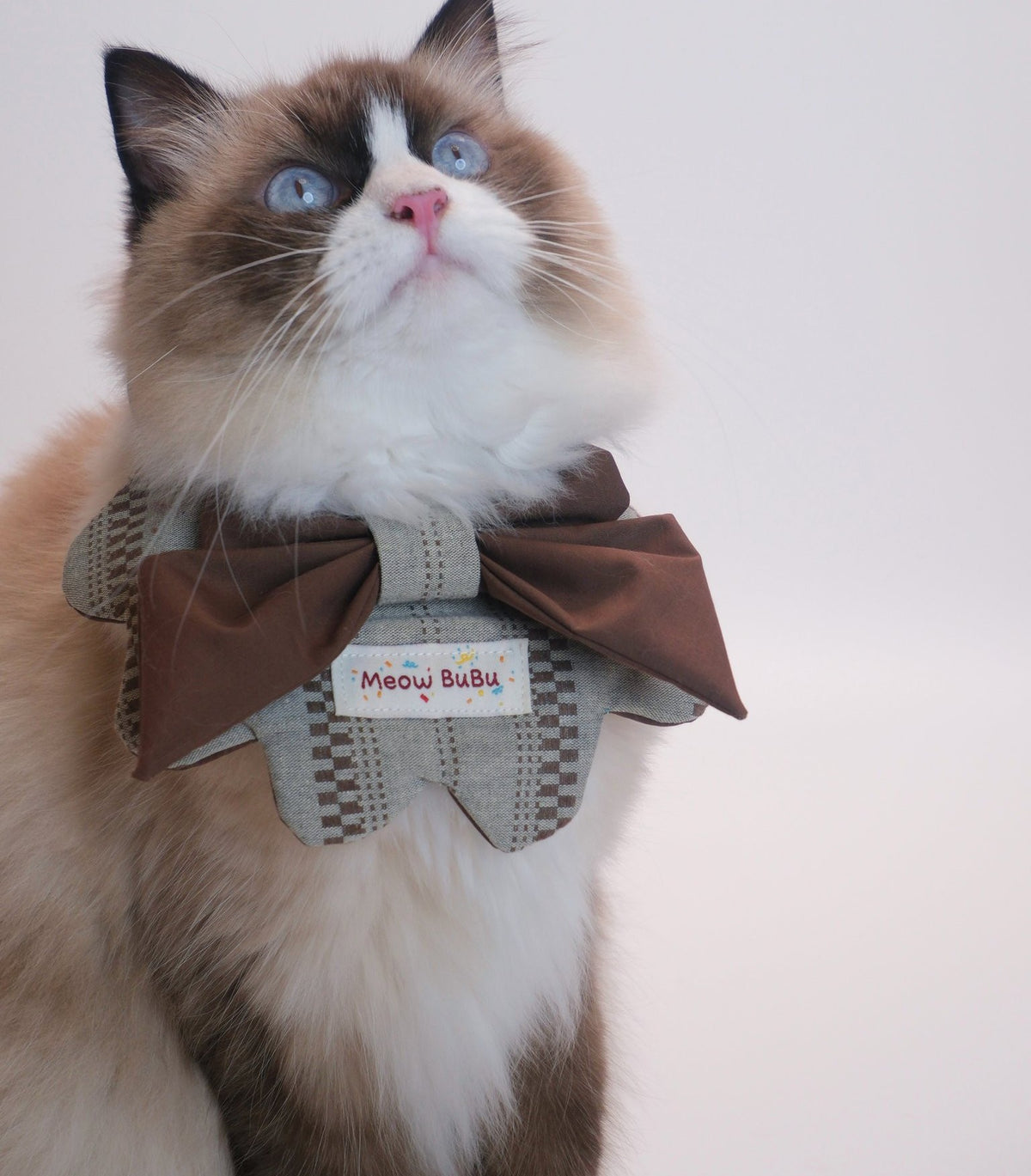 Ragdoll cat wearing the Autumn Woods Petal Bib