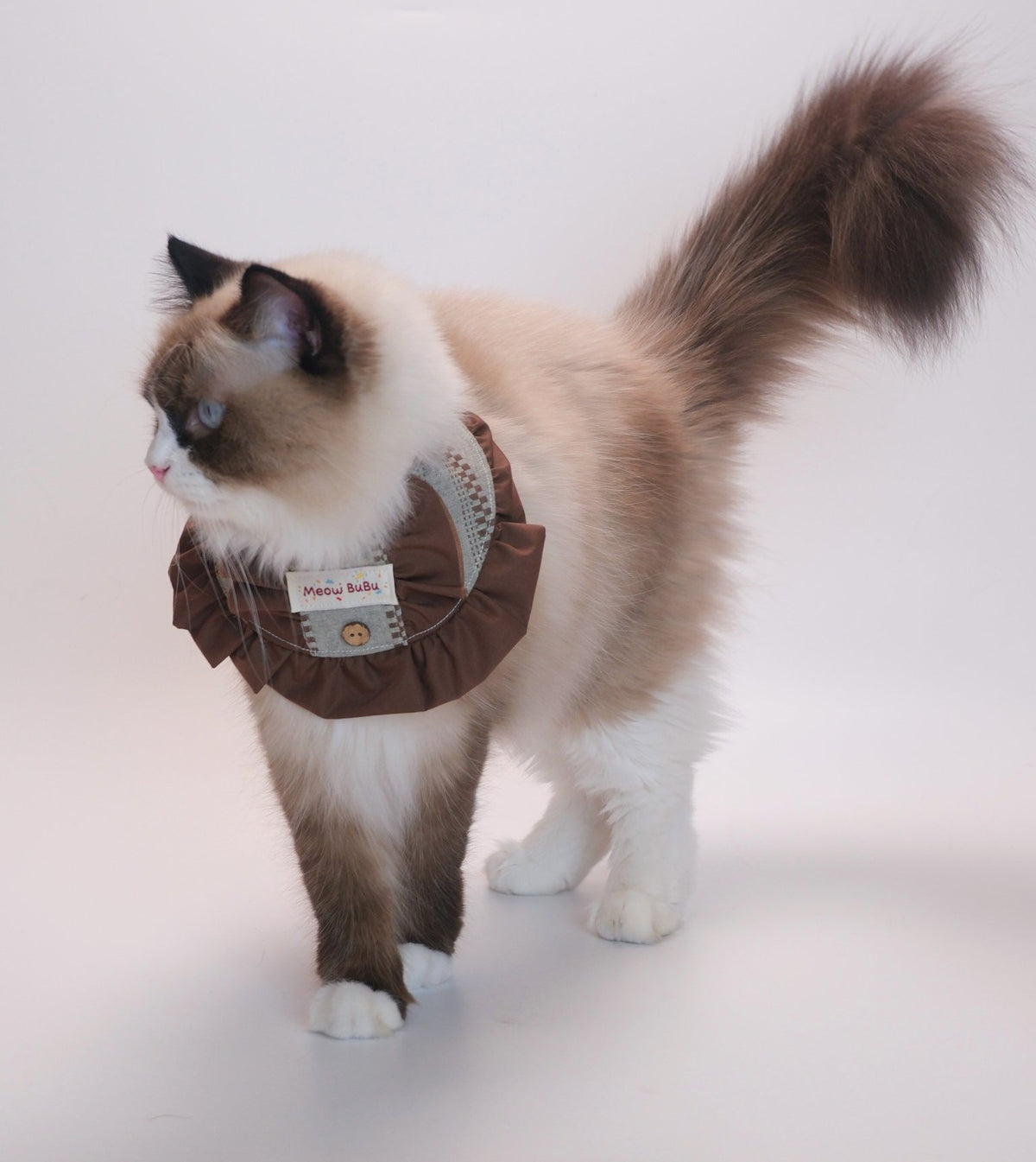 Ragdoll cat wearing the Autumn Woods Skirt Bib