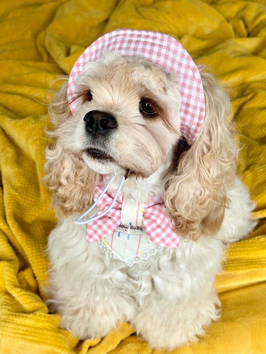 Cream Dream Pet Bandana & Collar Set