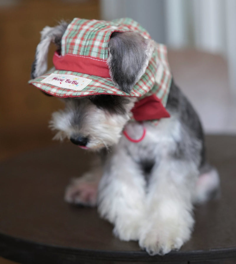 Schnauzer wearing the Forest & Flame Bucket Hat