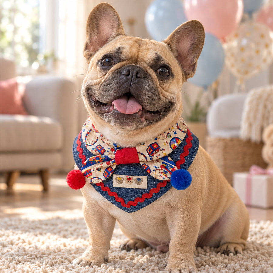 Circus Bear Pet Bib