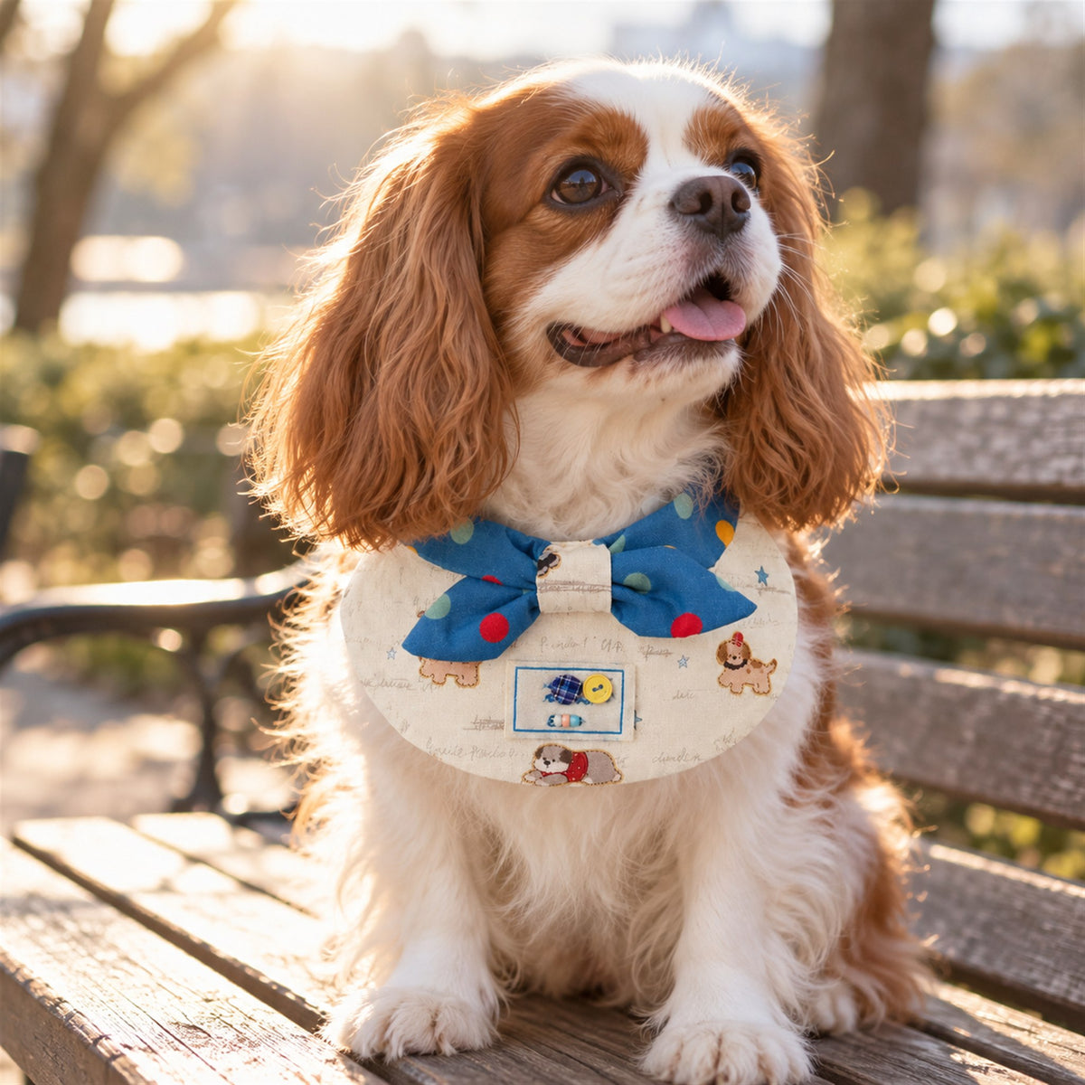 AI-generated preview: Cavalier King Charles spaniel wearing the Puppy Blue Bow bib on a park bench