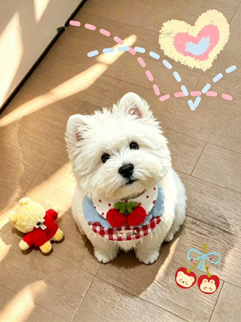 Westie wearing the Cherry Picnic bib