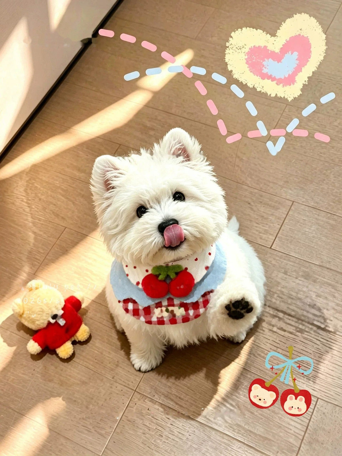 Westie wearing the Cherry Picnic bib, tongue out
