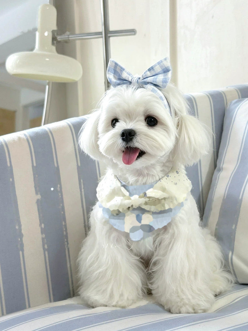 Maltese wearing the Cloud Bow bandana