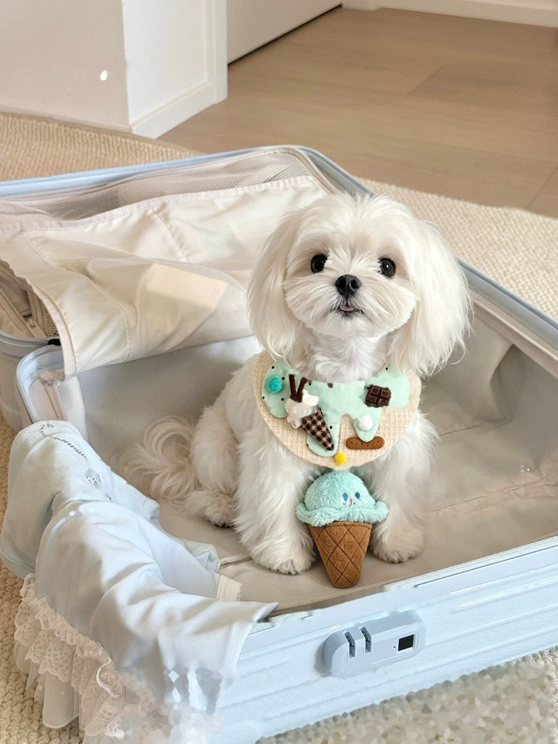 Maltese in a suitcase wearing the Mint Ice Cream bib