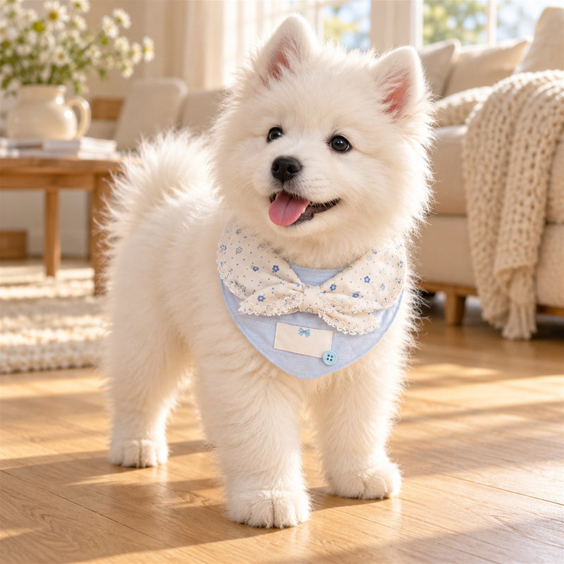 AI-generated preview: a Samoyed puppy wearing the Cloud Bow bandana in a sunny living room