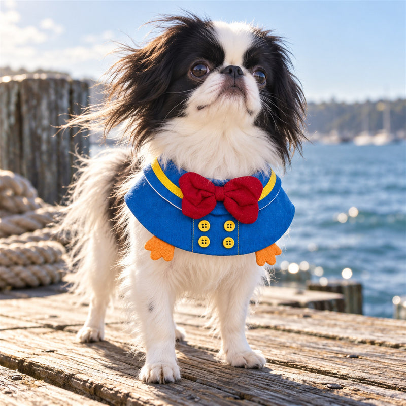 AI-generated preview: Sailor Duck Bow Pet Bib on a black-and-white Japanese Chin
