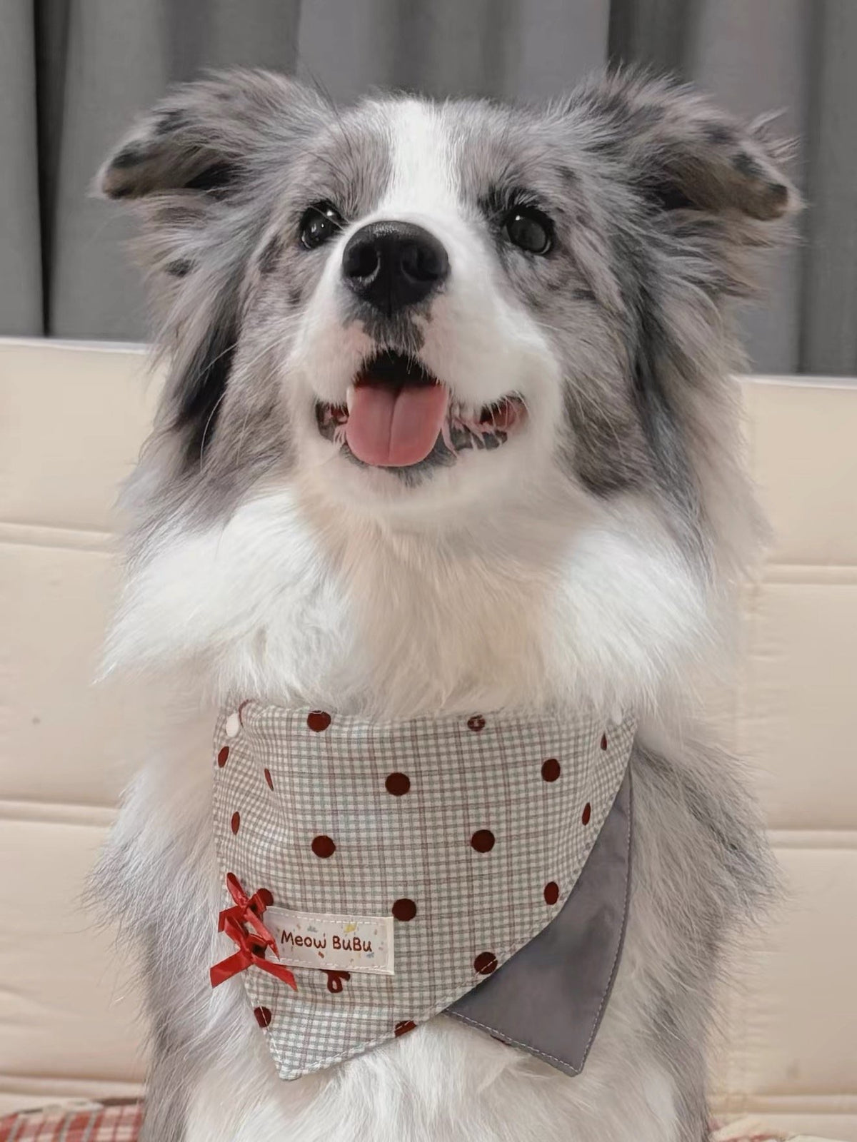 Fluffy grey and white dog wearing the Misty Grey Bandana