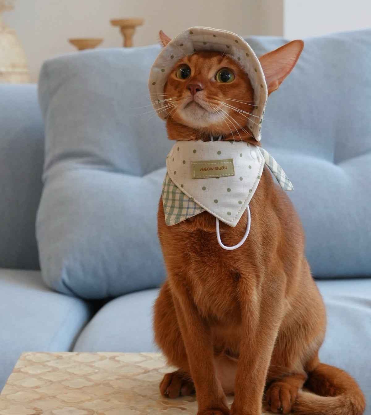 Abyssinian cat wearing the Mint Check Bandana and Bucket Hat
