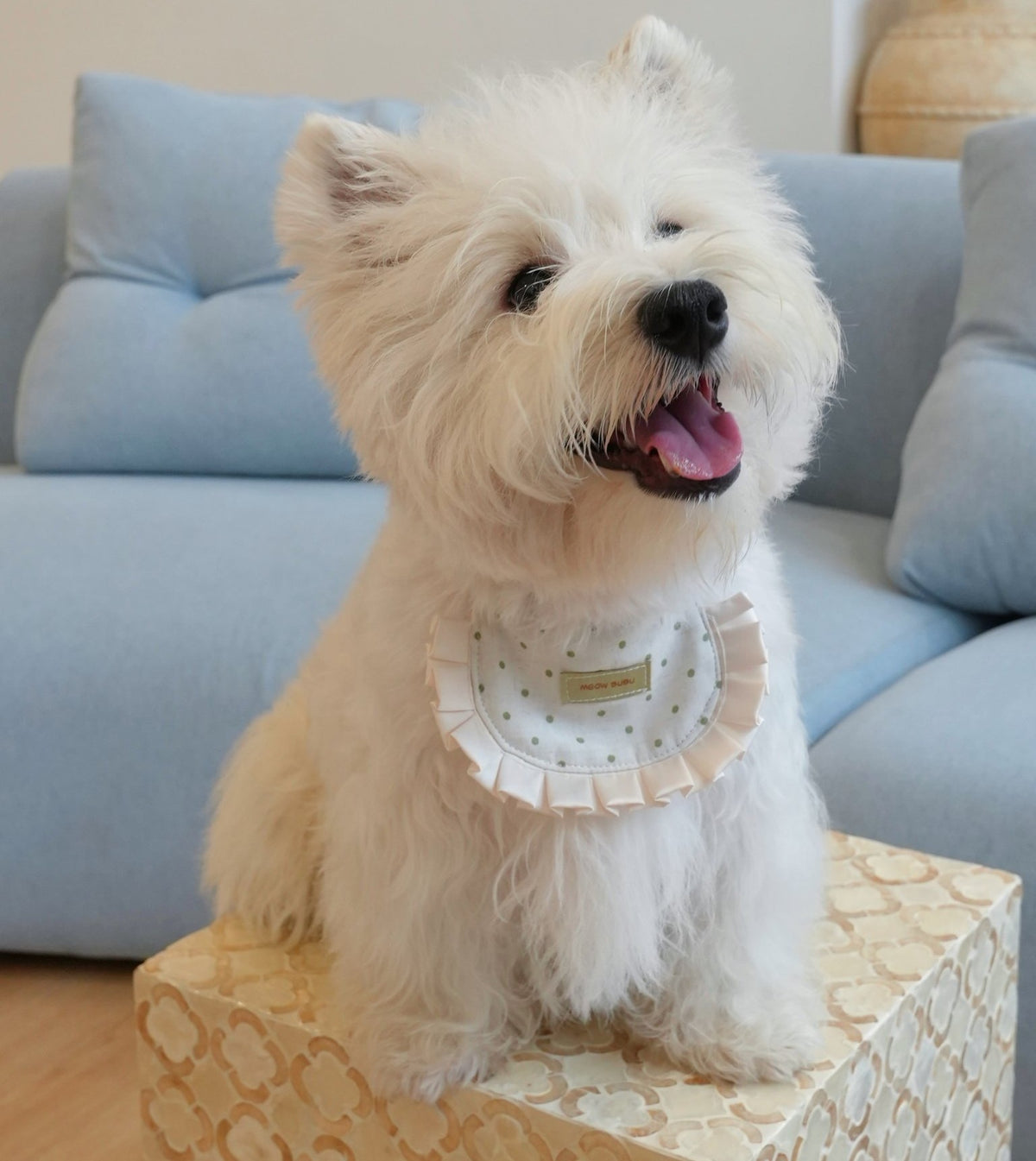 Westie wearing the Mint Check Basic Bib