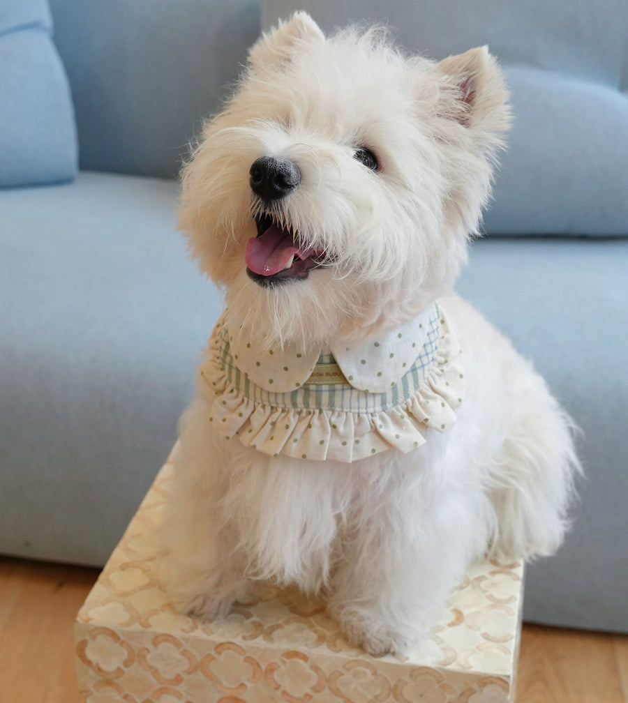 Mint Check Pet Bandana & Collar Set