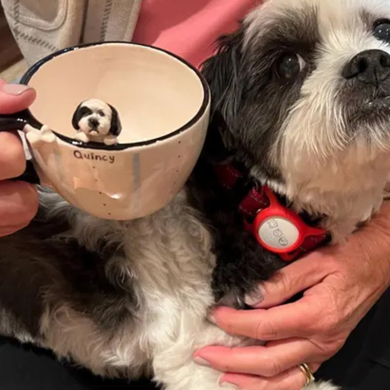 AI-cleaned product photo: custom ceramic mug with a hand-sculpted Shih Tzu inside