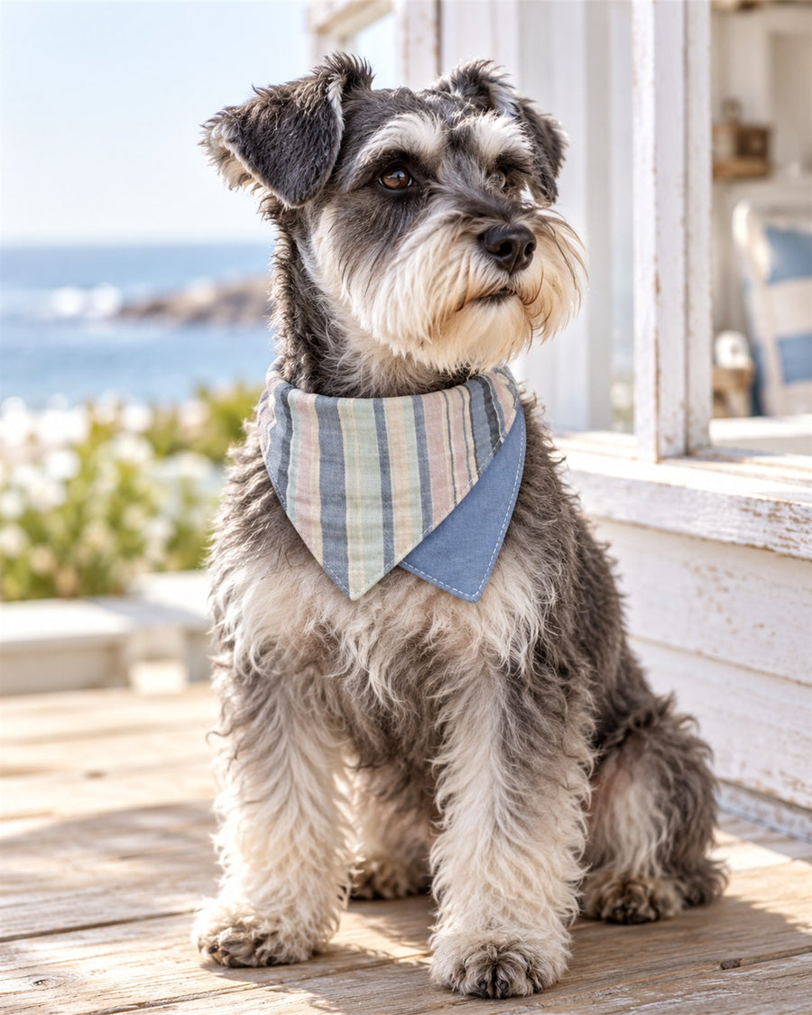 Seaside Blue Pet Bandana & Collar Set