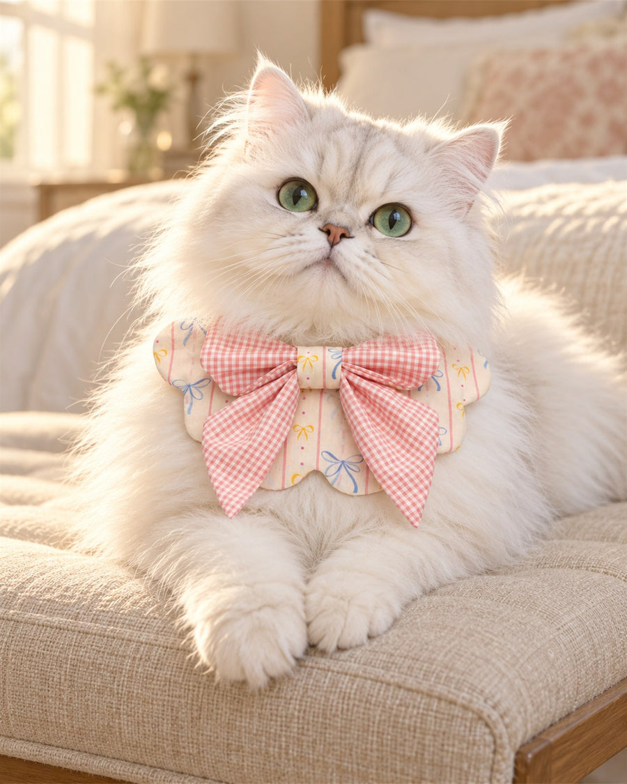 Cream Dream Pet Bandana & Collar Set