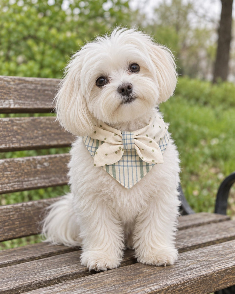AI-generated preview: a Maltese wearing the Mint Check collar on a park bench