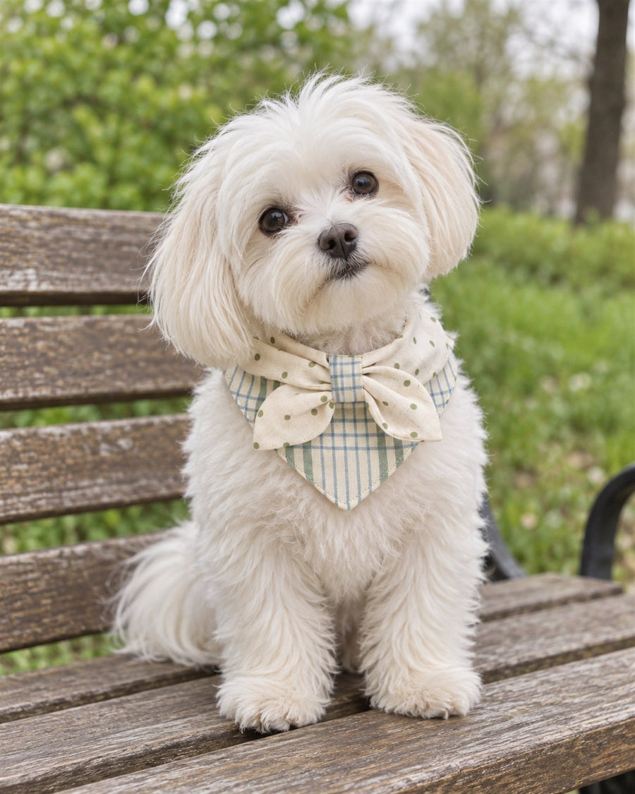 Mint Check Pet Bandana & Collar Set