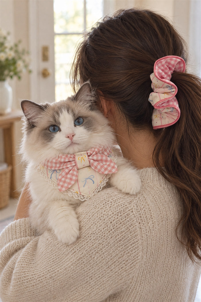 AI-generated: a pet parent with a pink gingham scrunchie holding her ragdoll cat in a matching bib