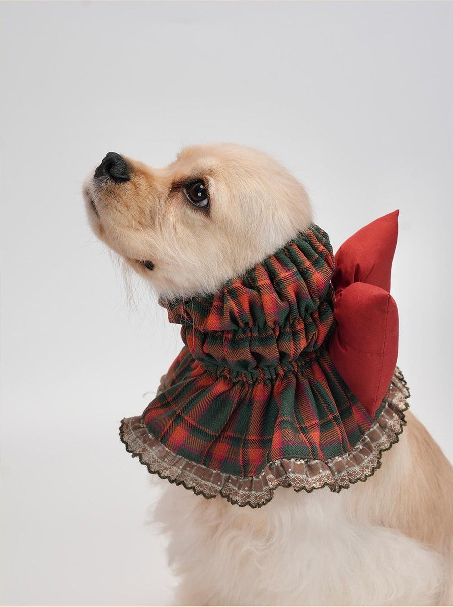 Dog wearing the Holiday Tartan ruffle collar
