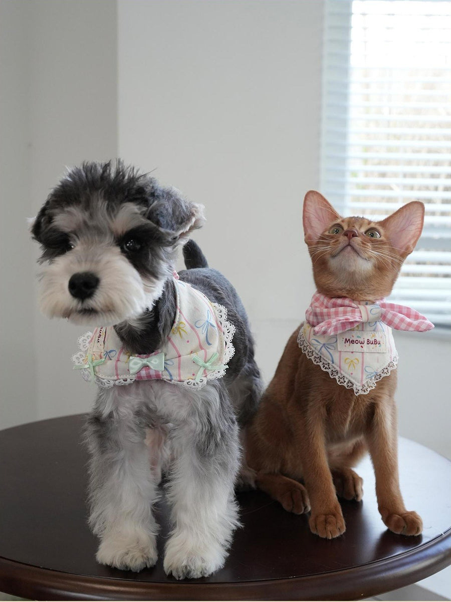Dog and cat wearing Cream Dream