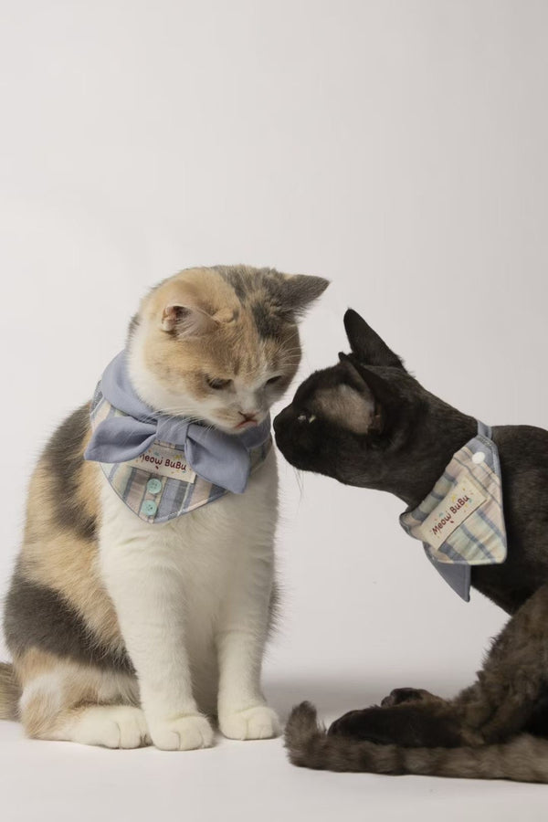 Two cats wearing the Seaside Blue bandana and bow collar