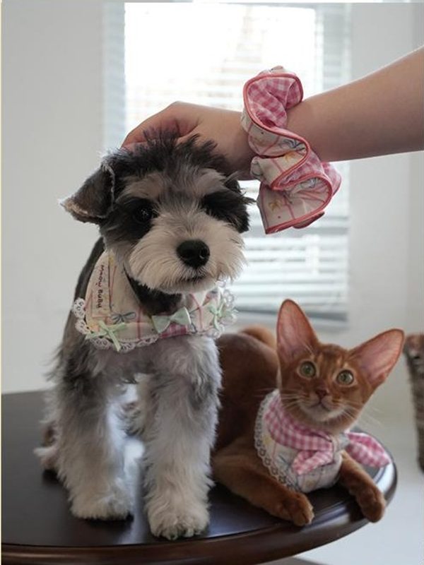 Matching scrunchie with pets