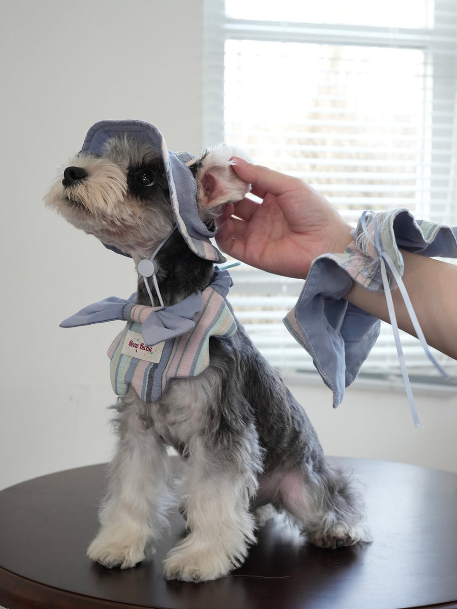 Seaside Blue Pet Bandana & Collar Set
