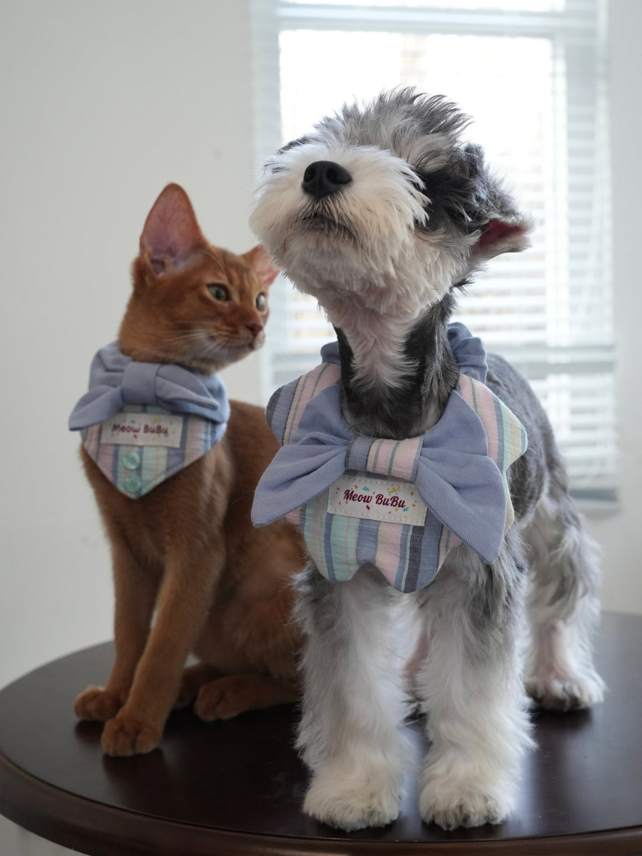 Seaside Blue Pet Bandana & Collar Set