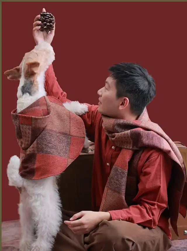 Dog in a plaid holiday hoodie reaching for a pine cone held by its owner
