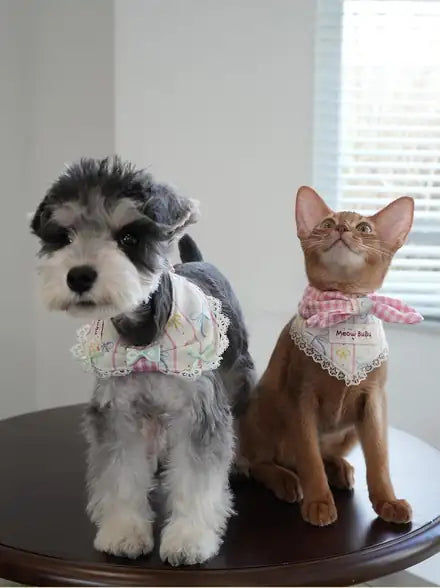 Puppy and cat wearing matching bibs